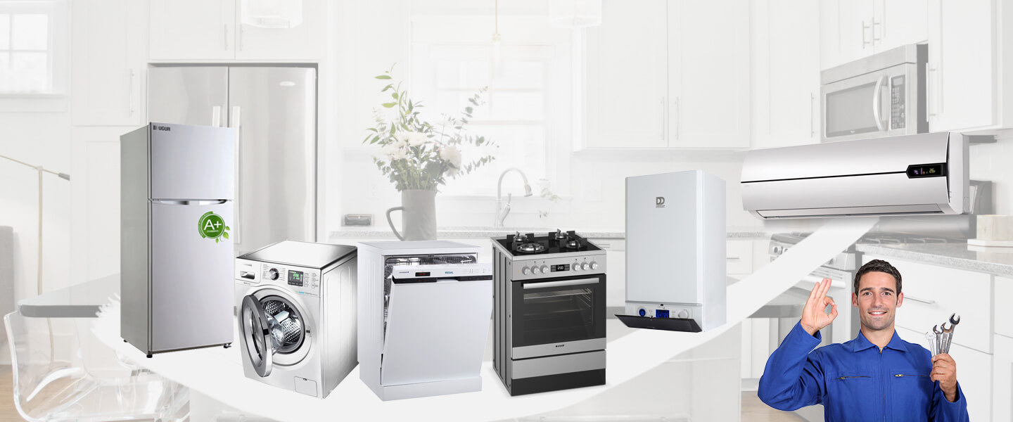 Söğütlü Grundig Servisi